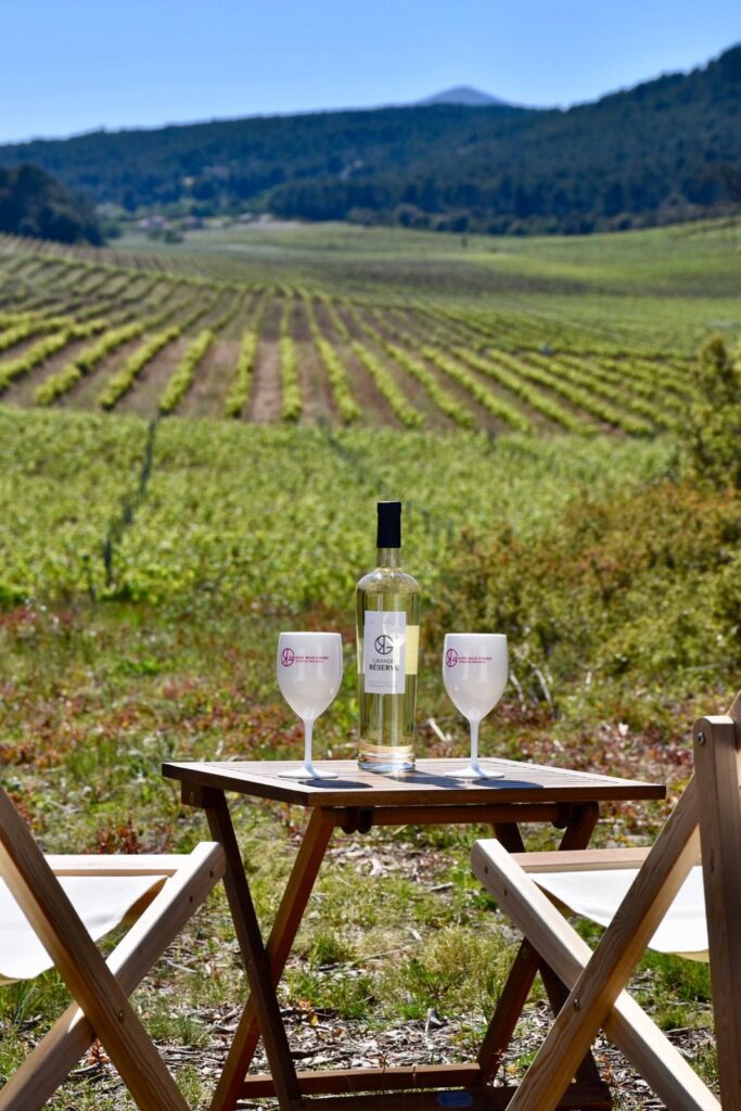 Cheese Tour from Marseille